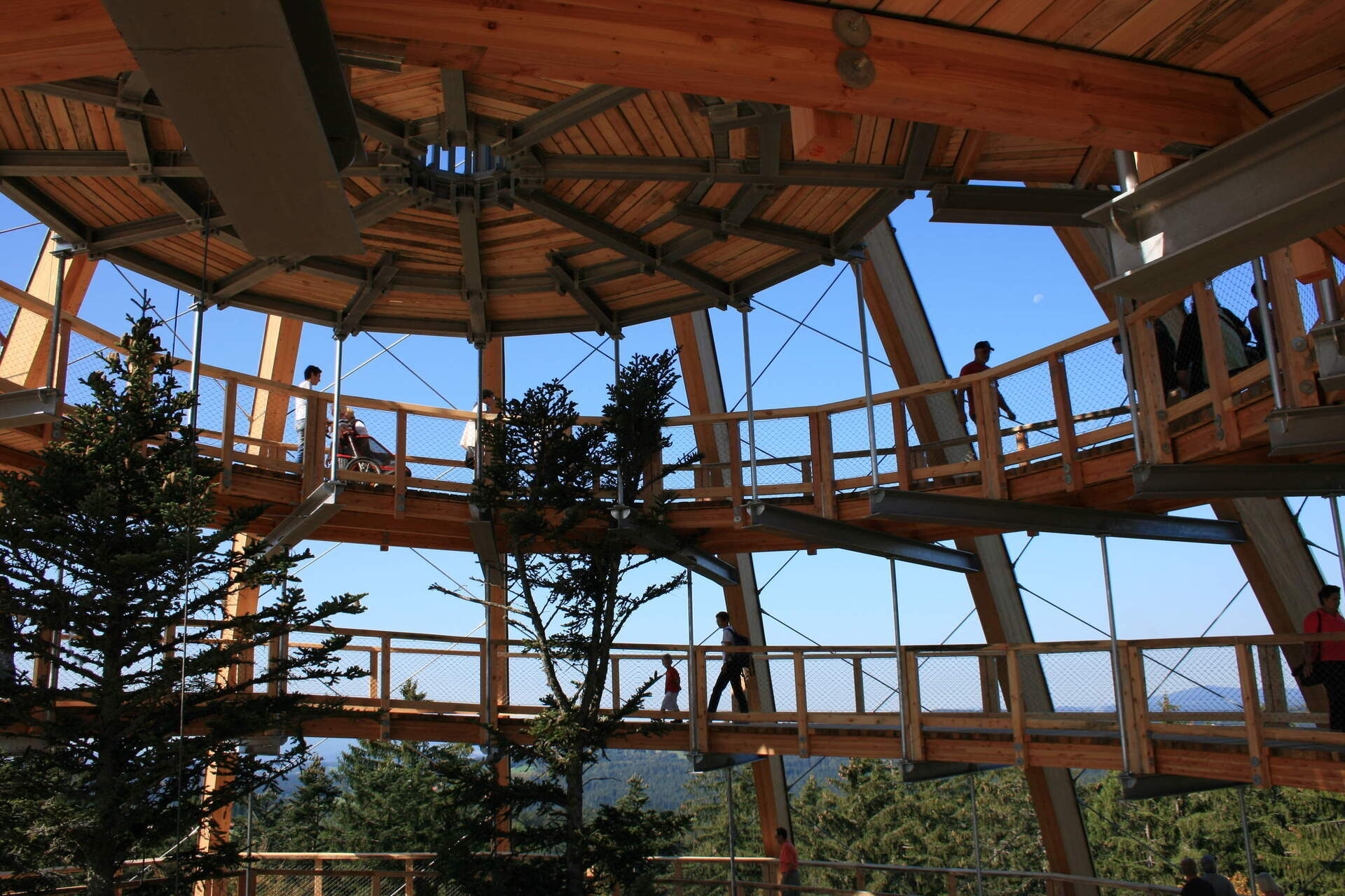Innenansicht des spiralförmigen Aussichtsturms am Baumwipfelpfad im Nationalpark Bayerischer Wald mit Besuchern und Bäumen im Zentrum.